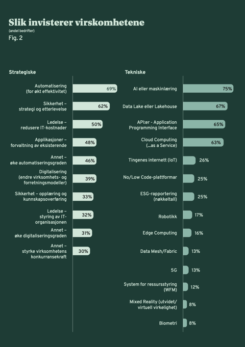 Slik invisterer virksomhetene