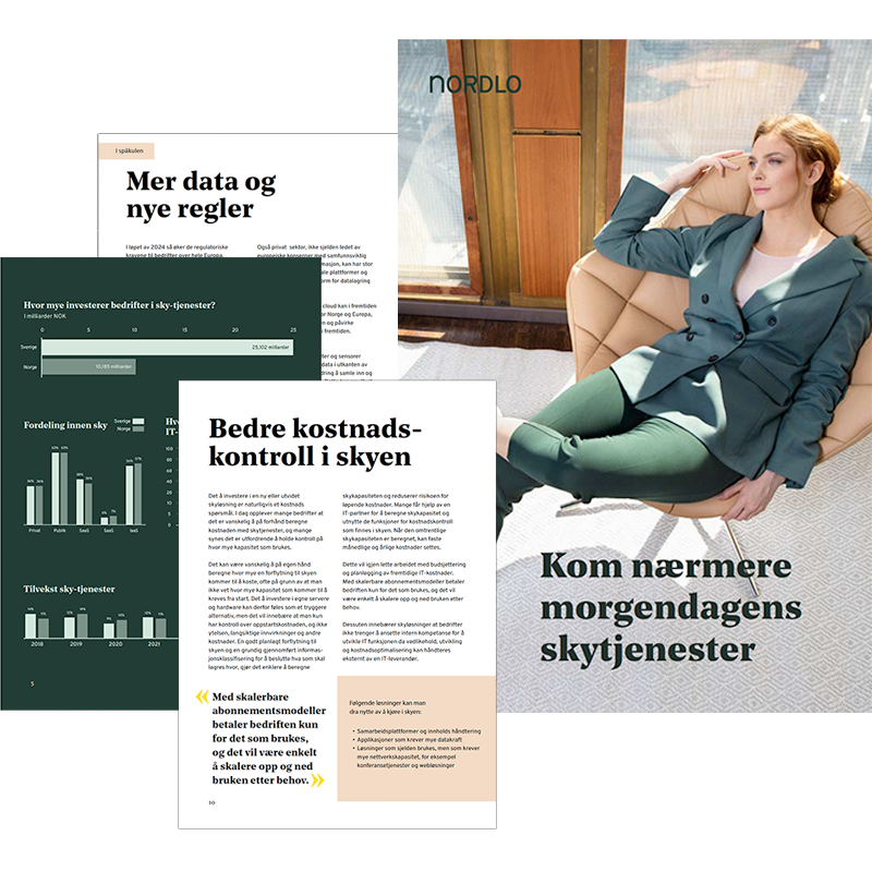 skytjenester-hero