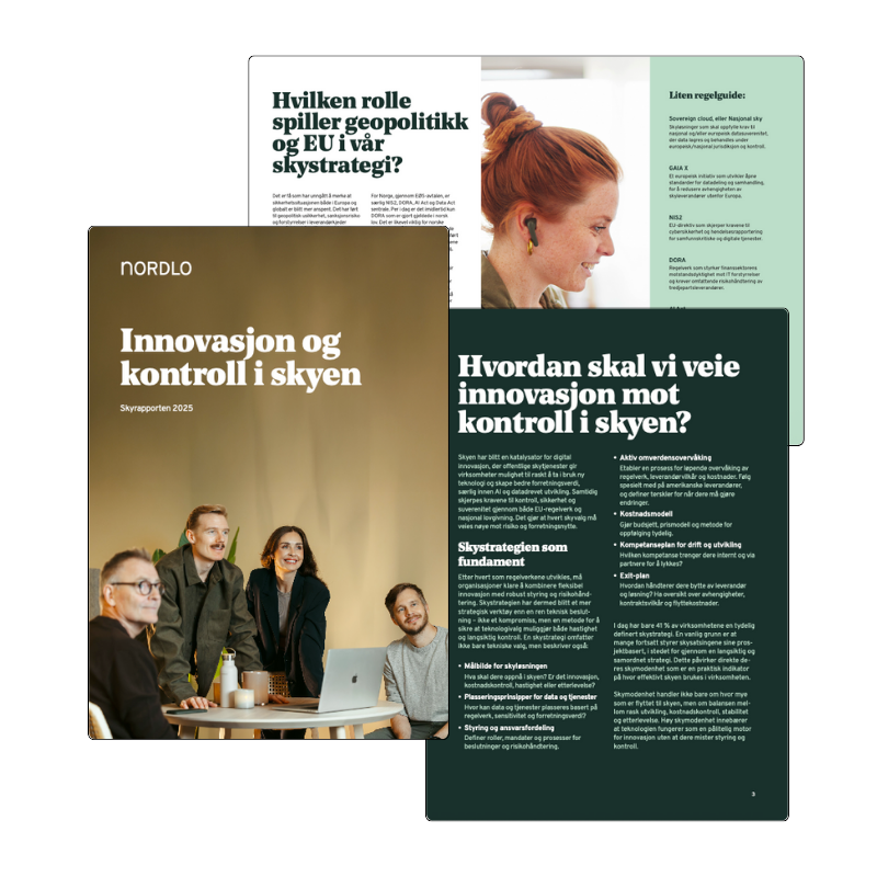 Skyrapporten - landingsside